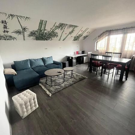 Eroilor II Apartament Daire Suceava Dış mekan fotoğraf